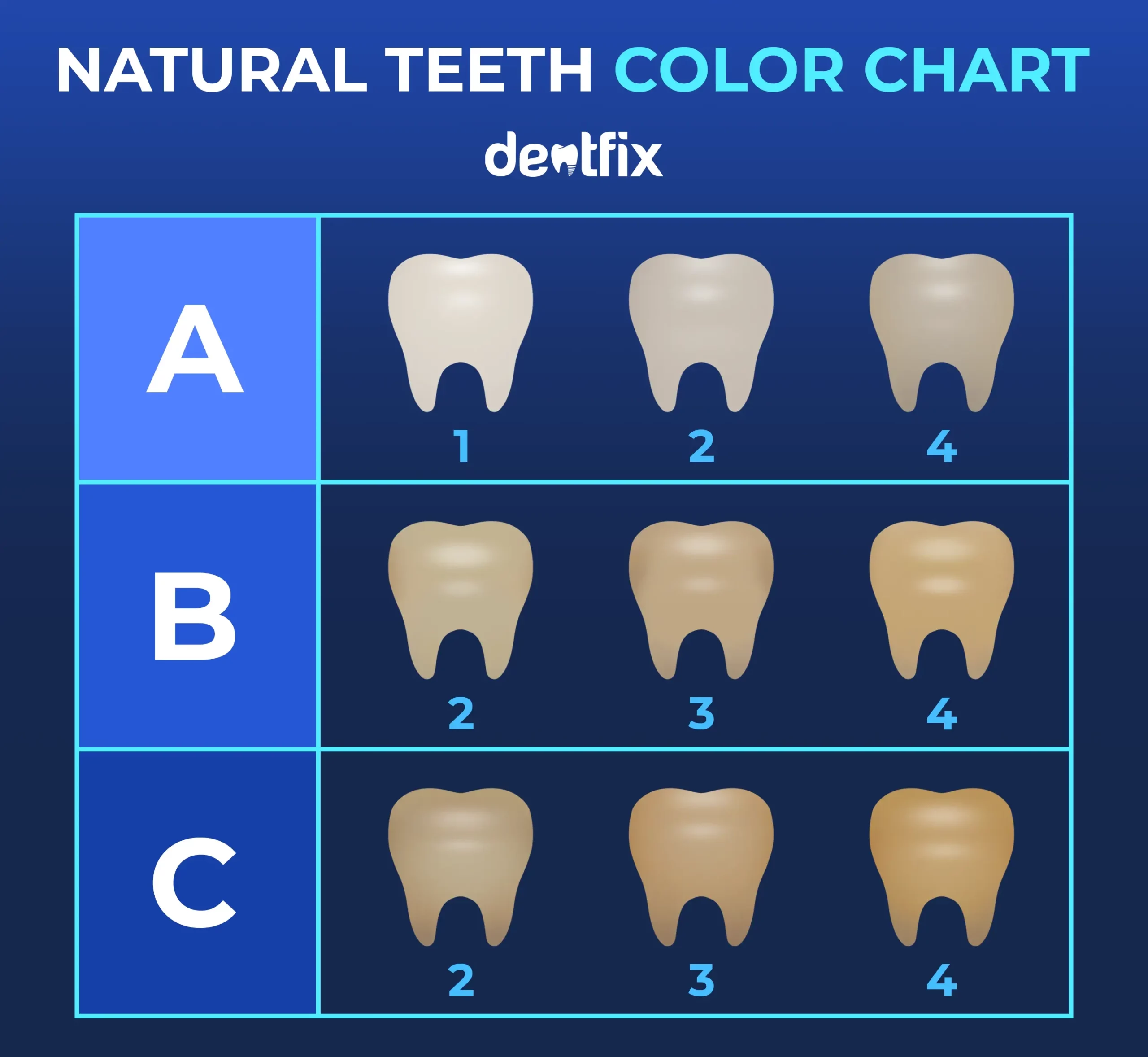 yellow teeth - color chart